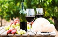 Glass of red wine ripe grapes and bread in vineyard Royalty Free Stock Photo
