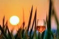 Glass of red Wine on rock with beautiful clouds of sunset or sunrise in background with blurred grass