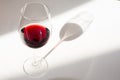 A glass of red wine and a shadow from it Royalty Free Stock Photo