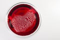 Glass of red wine with shadow.Top view. Abstract red wine bubbles Royalty Free Stock Photo