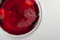 Glass of red wine with shadow.Top view. Abstract red wine bubbles Royalty Free Stock Photo