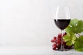 A glass of red wine on the table, grapes and grape leaves. Light background Royalty Free Stock Photo