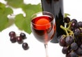 Glass of red wine - white background Royalty Free Stock Photo