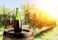 Glass of red wine and wine bottle on the oak keg. Vineyard in th Royalty Free Stock Photo