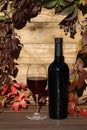 glass of red wine on wooden background with autumn leaves Royalty Free Stock Photo