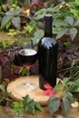 glass of red wine on wooden background with autumn leaves Royalty Free Stock Photo