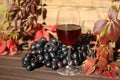 glass of red wine on wooden background with autumn leaves Royalty Free Stock Photo