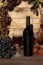 glass of red wine on wooden background with autumn leaves Royalty Free Stock Photo