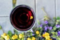 Glass of red wine with yellow flower petal Royalty Free Stock Photo