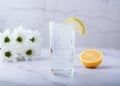 Glass of refreshing carbonated mineral water and a slice of lemon. Royalty Free Stock Photo