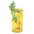 Glass of refreshing cocktail, fresh lemon drink with lemon, rosemary, gin tonic, lemonade, beverage, isolated, hand Royalty Free Stock Photo