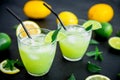 Glass of refreshing lemonade with limes, lemons and mint Royalty Free Stock Photo