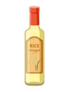 Glass rice vinegar bottle isolated on white background. Vector illustration isolated on white background.