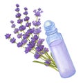 Glass roller ball bottle cosmetic lavender essential oil. Hand draw watercolor illustration isolated on white background