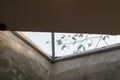 Glass roof ceiling made of natural eco materials and tree view through window. Royalty Free Stock Photo
