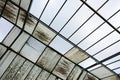 Glass roof of greenhouse, close up Royalty Free Stock Photo