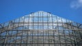 The glass roof of the vegetable greenhouse. Royalty Free Stock Photo