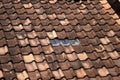 Glass roof tiles nestled among clay ones, allowing natural light to filter through
