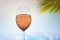 Glass Of  Rose Champagne Sparkling Wine Royalty Free Stock Photo