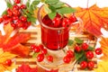 Glass of rose hip tea Royalty Free Stock Photo