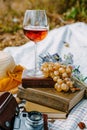 Glass of rose wine on a provencal style autumn picnic Royalty Free Stock Photo
