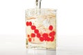 Glass of rum, ice and red cranberries with splash Royalty Free Stock Photo