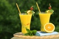 Glass's Of Fresh Squeezed Orga Royalty Free Stock Photo