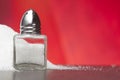 Glass salt shaker Royalty Free Stock Photo