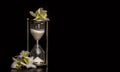 Glass Sand Timer

Clock on black background with orchids Royalty Free Stock Photo