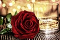 Glass of scotch whiskey and ice ,  red rose  in   holiday colorful bokeh Royalty Free Stock Photo