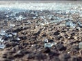 Glass shards Scattered On The Road - Close Up Royalty Free Stock Photo