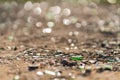 Glass shred on the ground Royalty Free Stock Photo