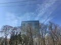 Glass skyscraper on a background of blue sky. Abstract panorama. Tree branches.