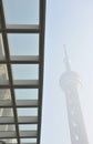 Glass skyscrapers shanghai pearl tower