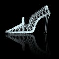 Glass Slipper Royalty Free Stock Photo