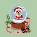 Glass snow ball with falling snow, cute dog in a Christmas Santa costume .Magic glass sphere on a light background. Royalty Free Stock Photo