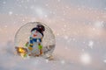 Glass snowball with snowman in the snow.