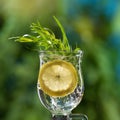 In a glass soda water with a slice of lemon, ice and greenery of tarragon, concept, close-up