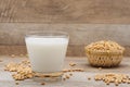 Glass with soy milk and soy bean on wooden background Royalty Free Stock Photo