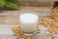 Glass with soy milk and soy bean on wooden background Royalty Free Stock Photo