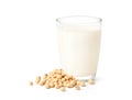 Glass of Soy milk with soybeans Royalty Free Stock Photo