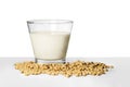 Glass of soymilk and soybean on table