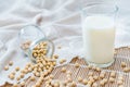 A glass of soymilk and soybeans Royalty Free Stock Photo