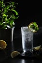 A glass with sparkling water with lemon Royalty Free Stock Photo