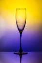 A glass of sparkling wine