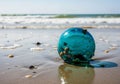 Glass sphere with barnacles (Cirripedia) attached rests on a sandy Royalty Free Stock Photo