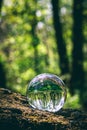 Glass sphere with forest reflection