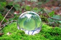 A glass sphere rests on a bed of moss