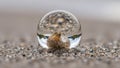 A glass sphere rests on a sandy surface, magnifying and distorti Royalty Free Stock Photo