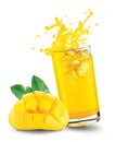 Glass of splashing mango juice with mango fruit on white background Royalty Free Stock Photo